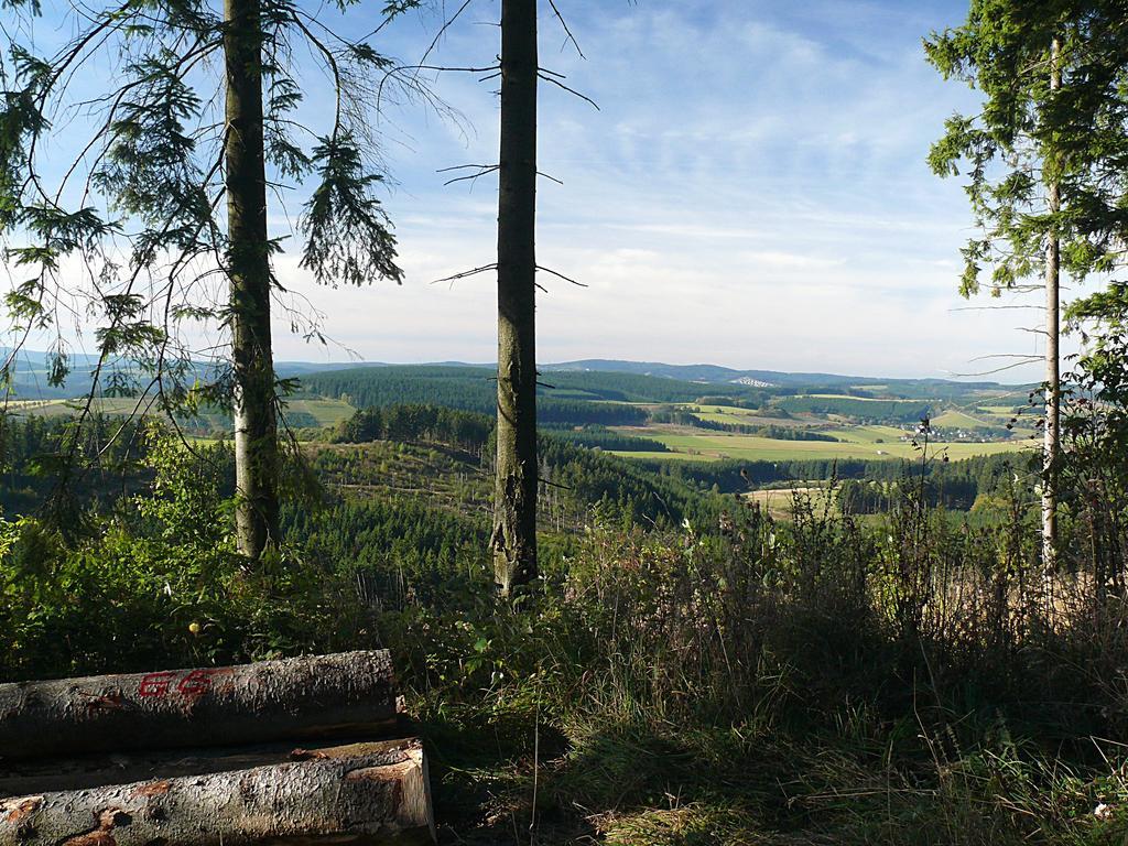 Landidyll Landhaus Liesetal Hallenberg Esterno foto